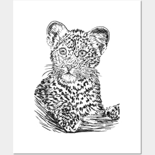 Leopard 001 Posters and Art